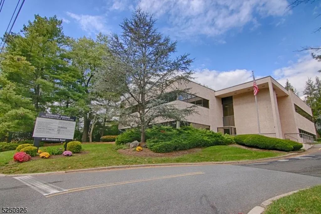 40 Morristown Rd, Bernardsville Boro