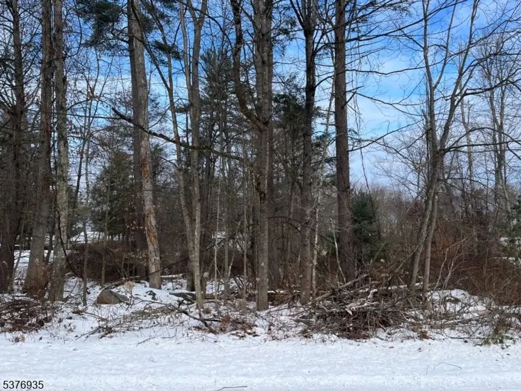 260 Old Chimney Ridge Rd, Montague Twp.