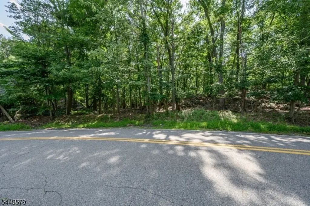 782 Brooklyn Mountain Rd, Hopatcong Boro