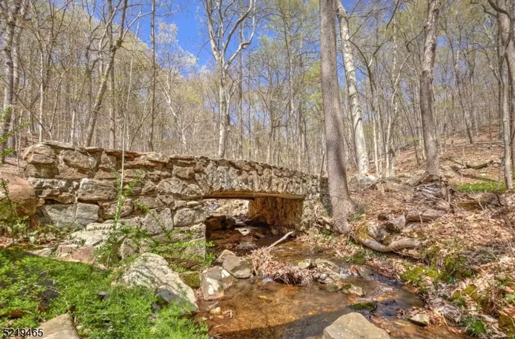 66 Rippling Brook Way, Bernardsville Boro