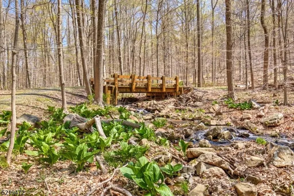 60 And 66 Rippling Brook Wa, Bernardsville Boro