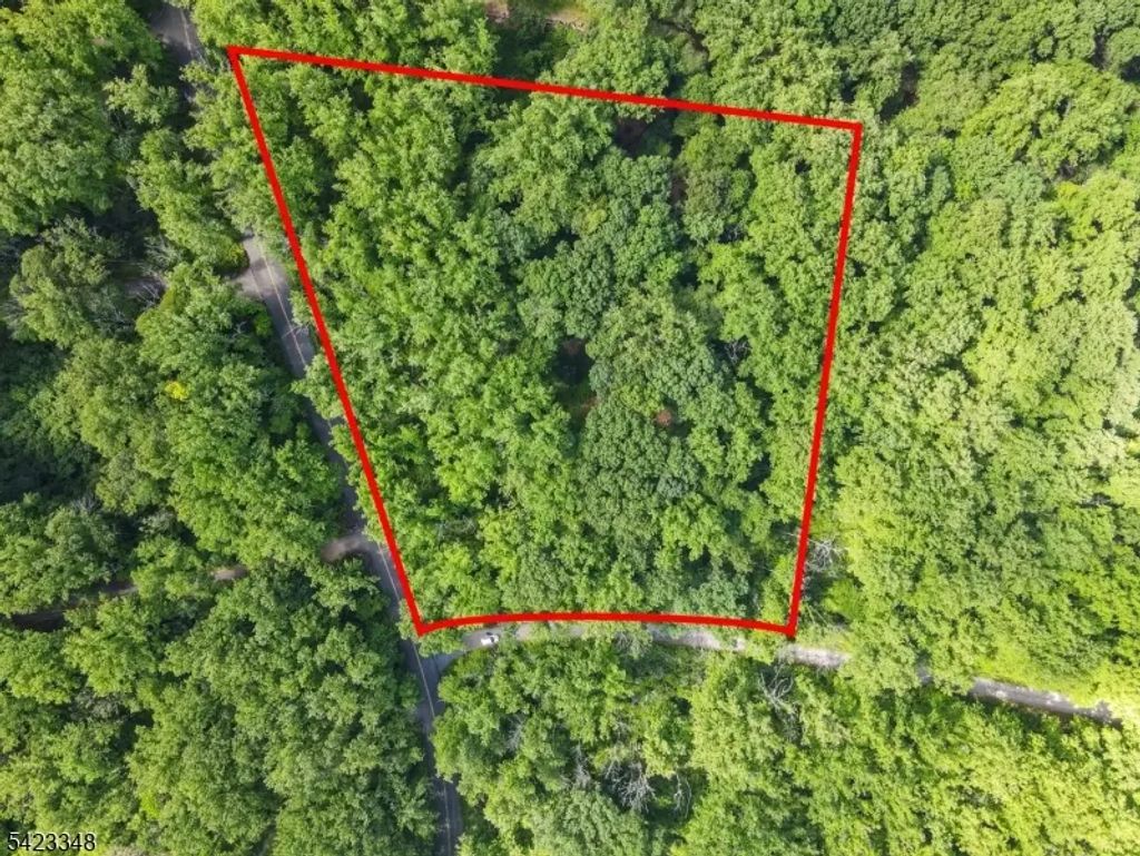 160 Jockey Hollow Rd, Bernardsville Boro
