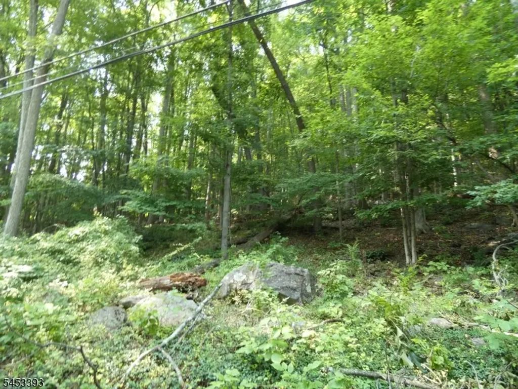 20 Sawmill Rd, Tewksbury Twp.