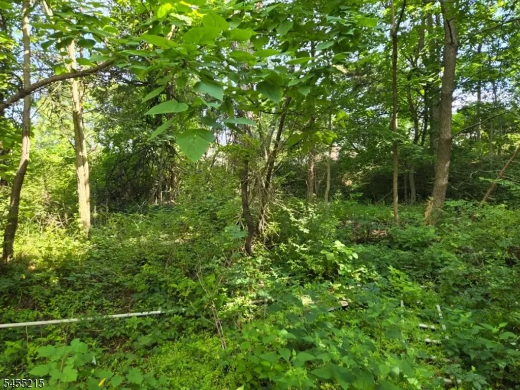 2 Hewlett Rd, Montville Twp.