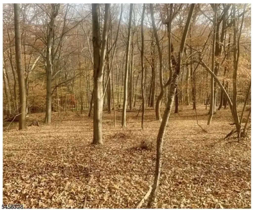 85 Cherryville Hollow Rd, Raritan Twp.