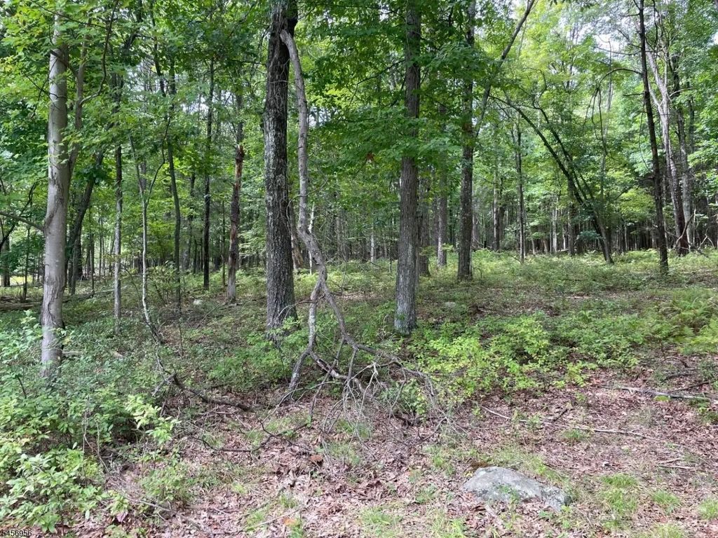 0 Owassa Rd, Stillwater Twp.