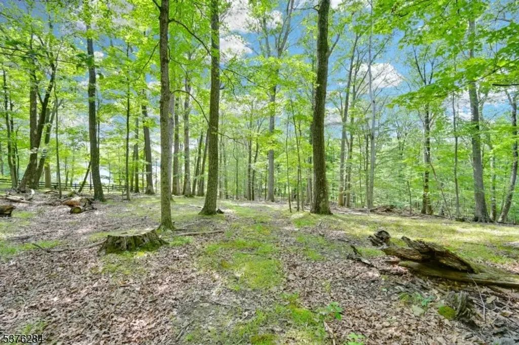 51 Paulinskill Lake Rd, Fredon Twp.