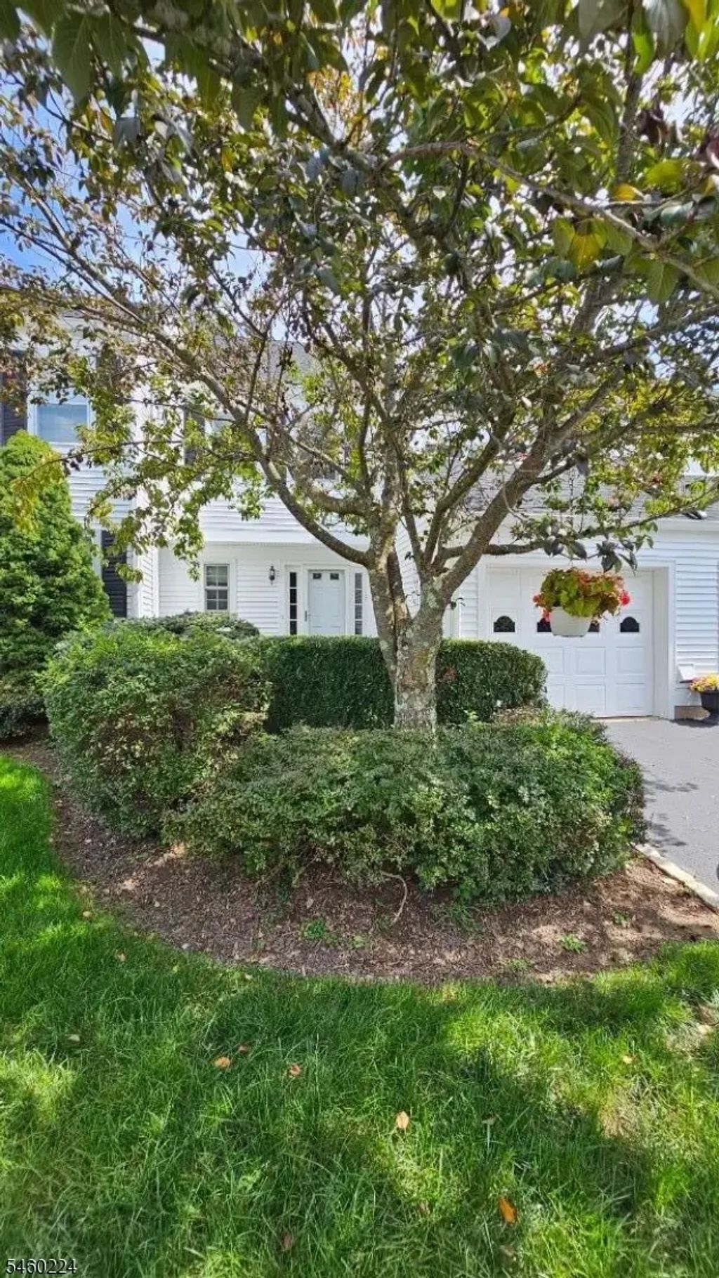 55 Hampshire Dr, Mendham Boro
