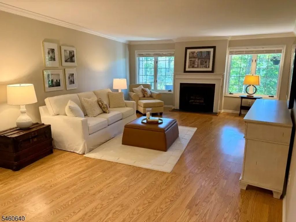163 Terrace Dr, Chatham Twp.