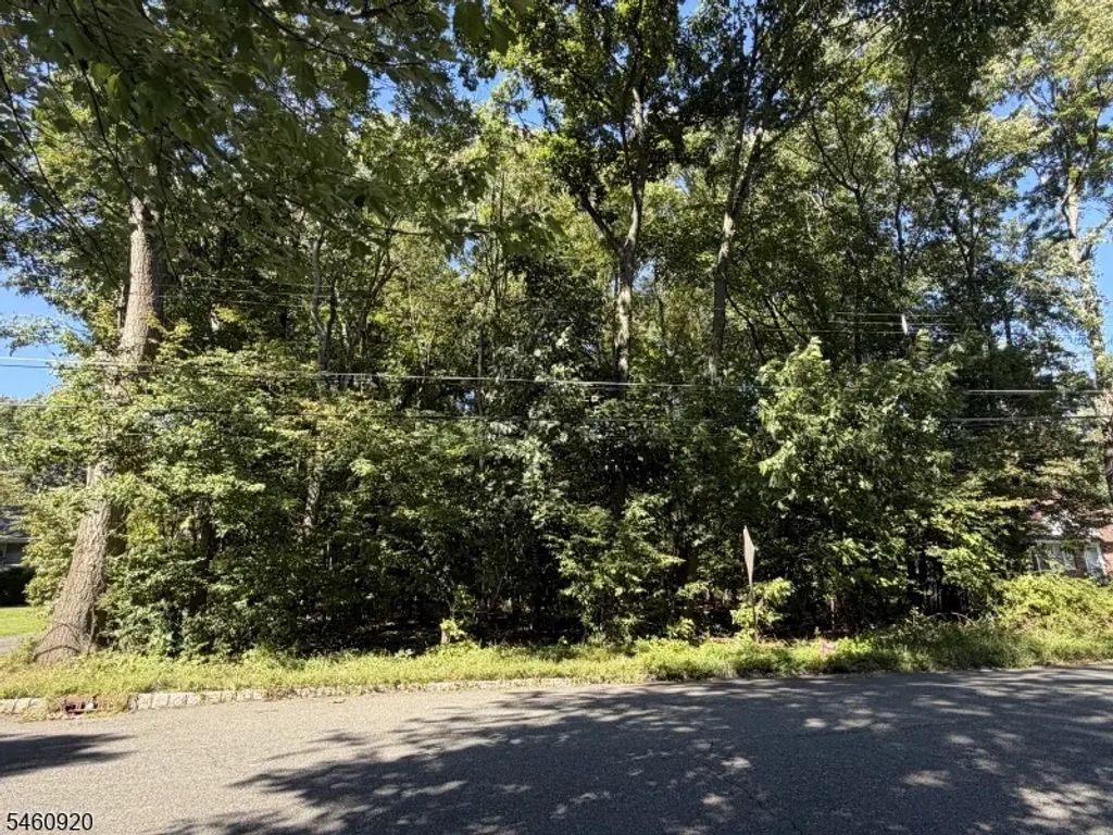 74 Preston Rd, Parsippany-Troy Hills Twp.