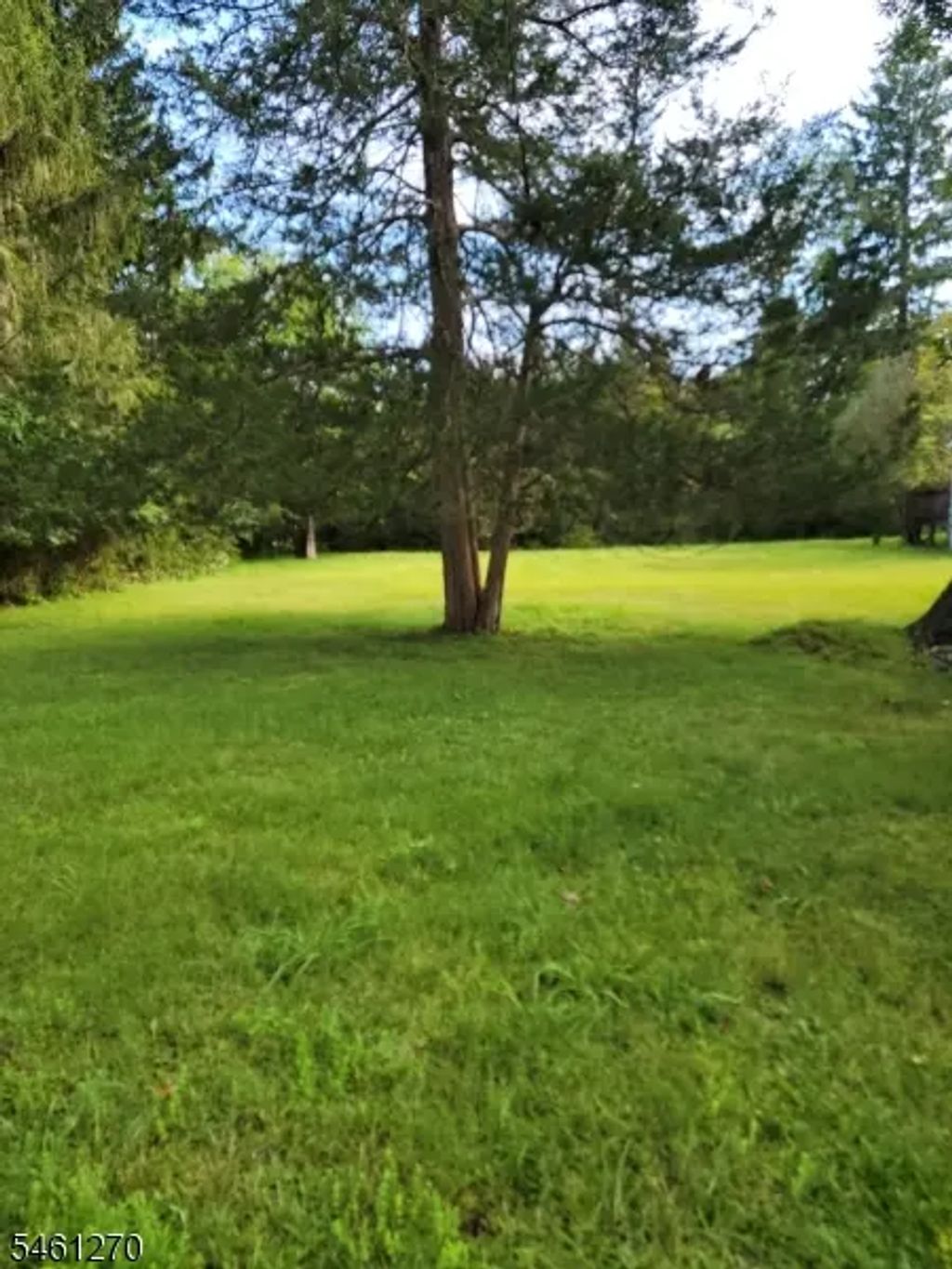 67 Woodland Rd, Mendham Twp.