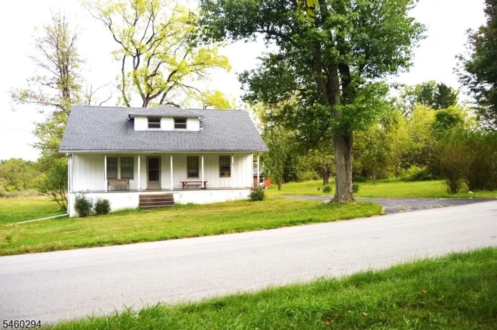 42 Fortysecond St, Readington Twp.