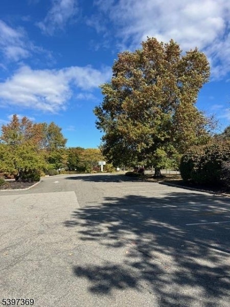 Photo of Listing #3997938