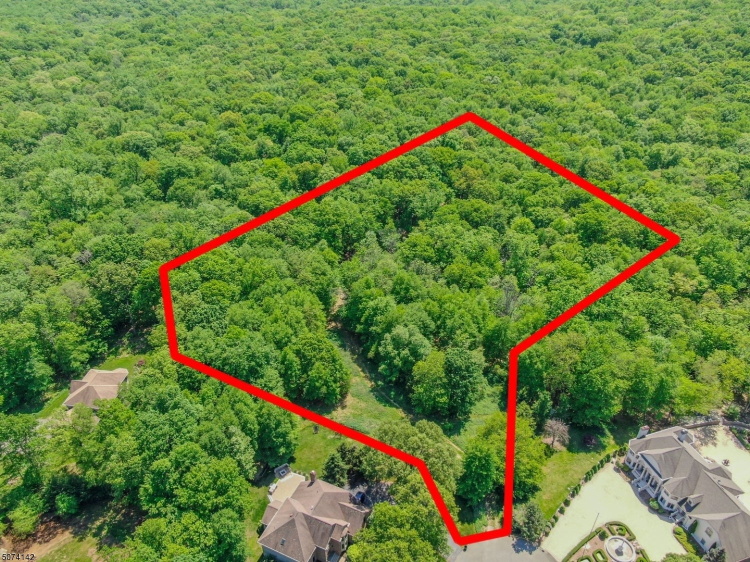 Photo of Listing #3918309