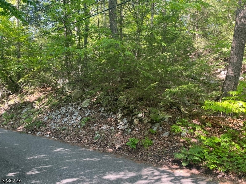 Photo of Listing #3939050