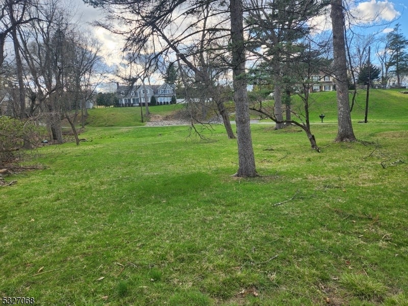Photo of Listing #3946161