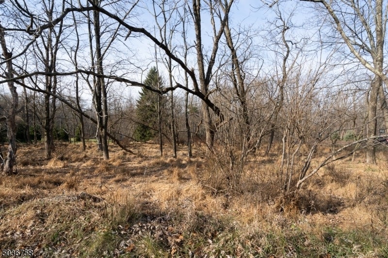 Photo of Listing #3949713