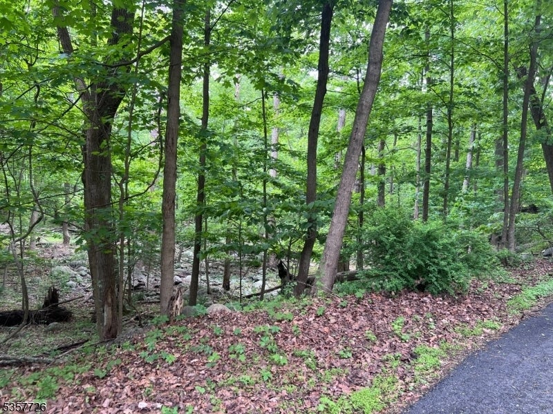 Photo of Listing #3964177