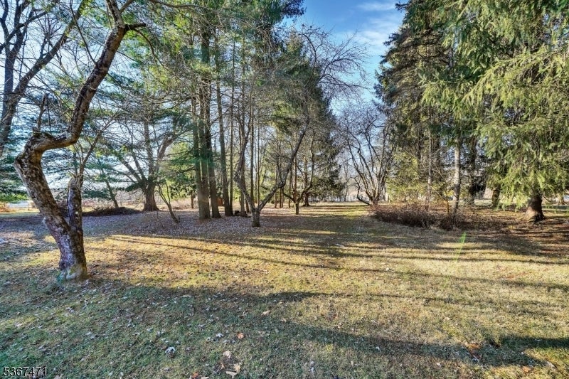 Photo of Listing #3972600