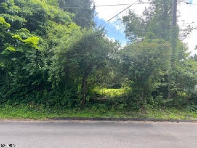 Photo of Listing #3973842