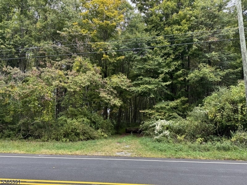 Photo of Listing #3988234