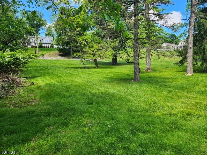 Photo of Listing #3989410