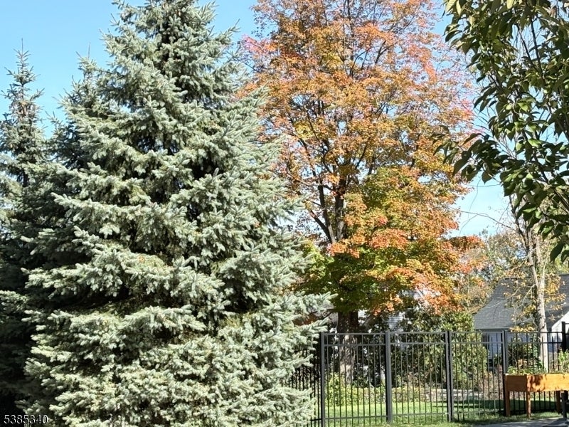 Photo of Listing #3991538