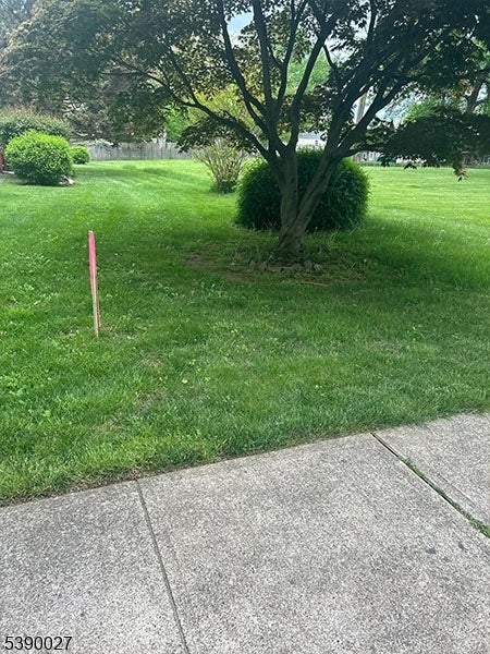 Photo of Listing #3991656