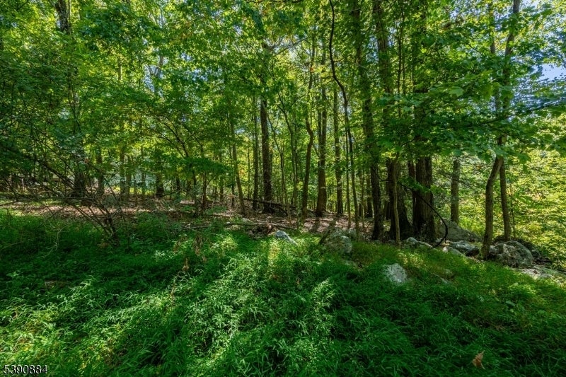 Photo of Listing #3992248