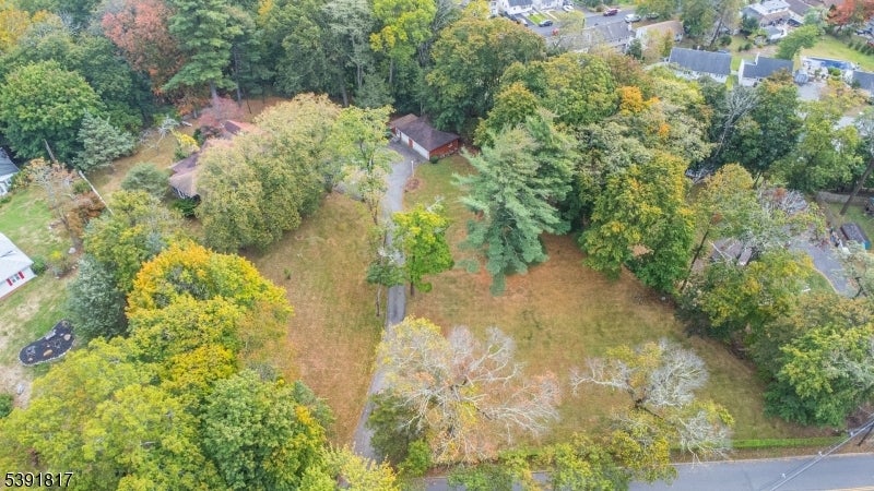Photo of Listing #3993023