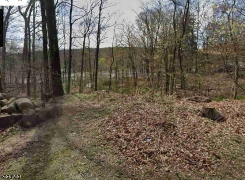 Photo of Listing #3998808