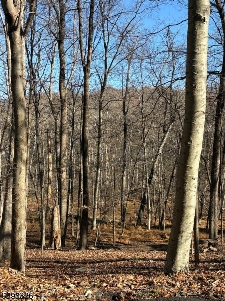 Photo of Listing #3999078