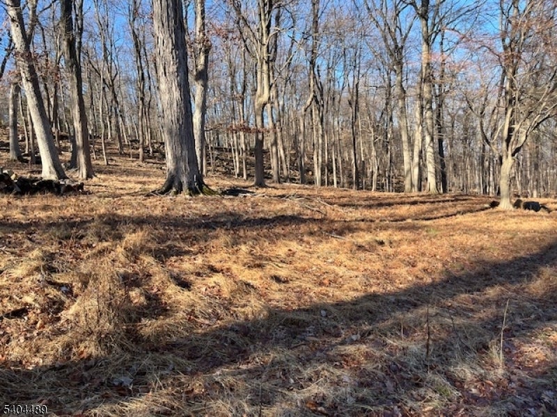 Photo of Listing #4004103