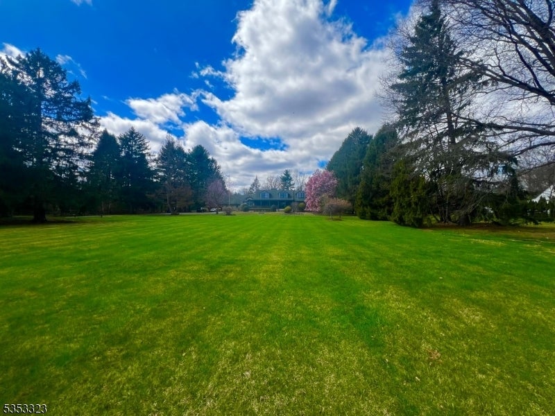 Photo of Listing #3959214