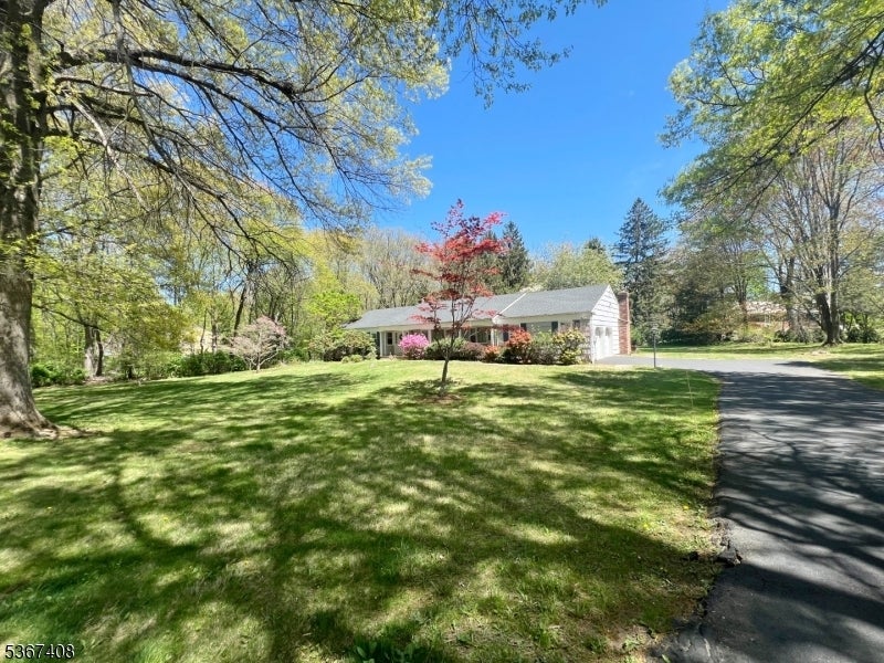 Photo of Listing #3972031