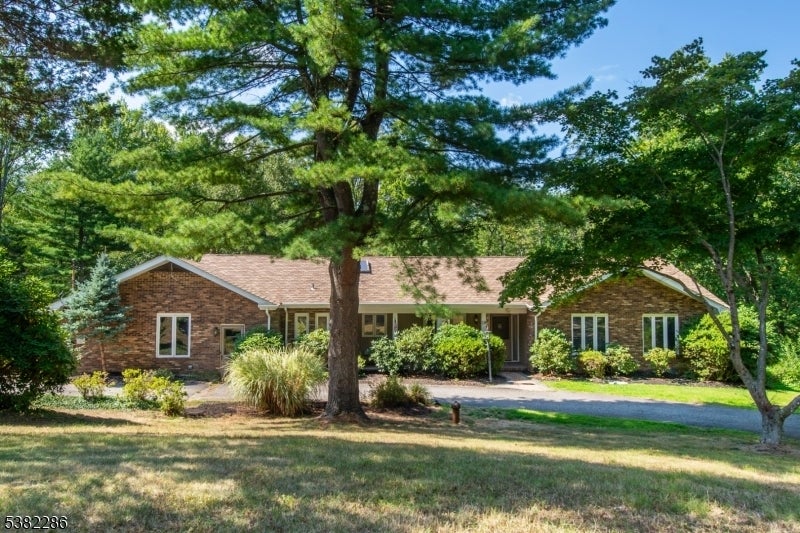 Photo of Listing #3985051