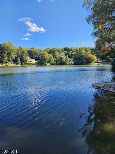 Photo of Listing #3986316