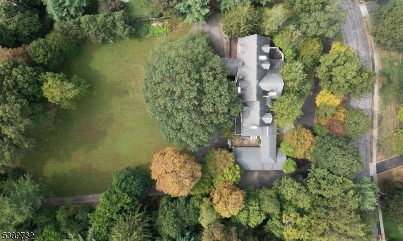 Photo of Listing #3991619