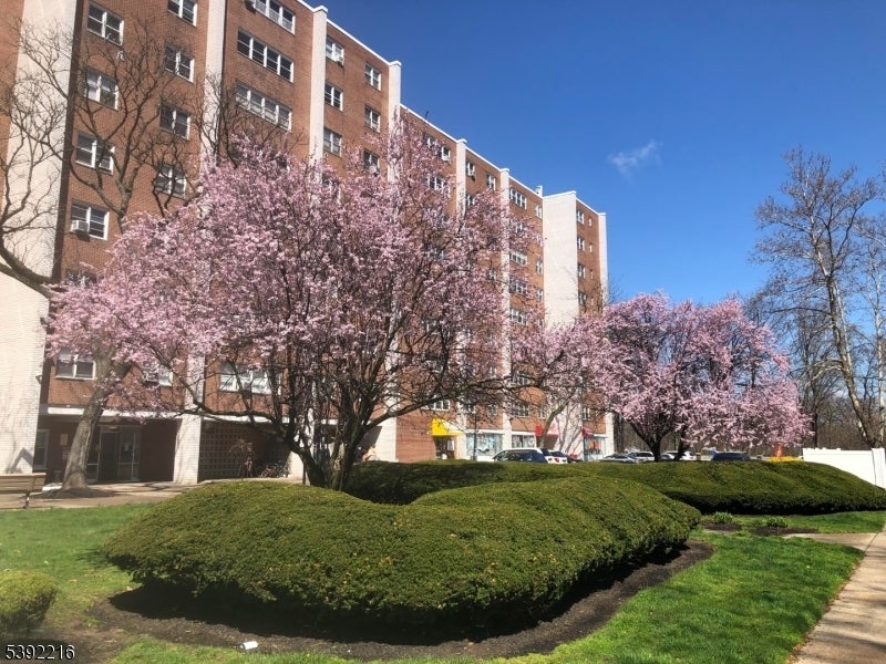 Photo of Listing #3993953