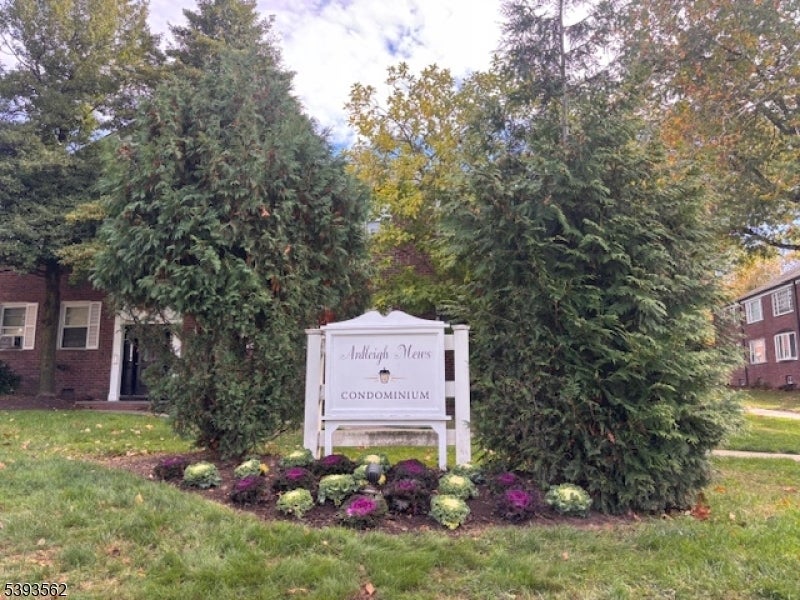 Photo of Listing #3994586