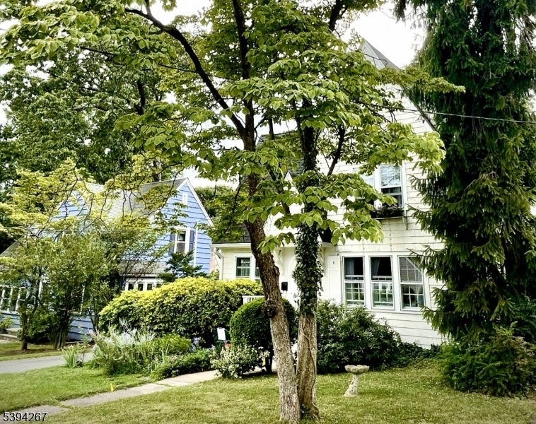 Photo of Listing #3996012