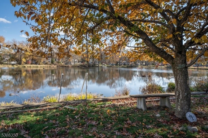 Photo of Listing #3997022