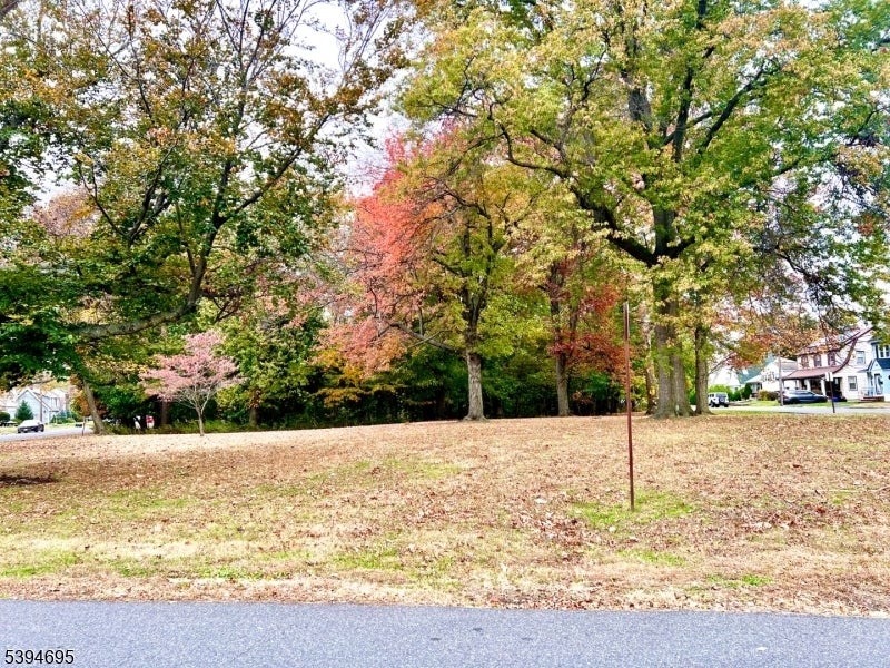 Photo of Listing #3997788