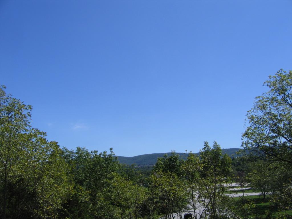 Photo of Listing #4000617