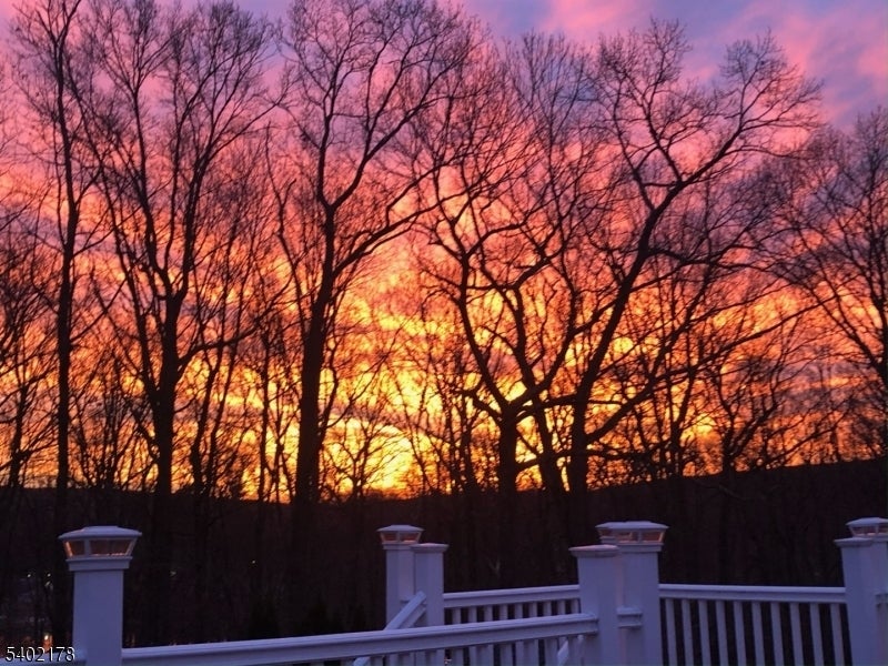 Photo of Listing #4002088