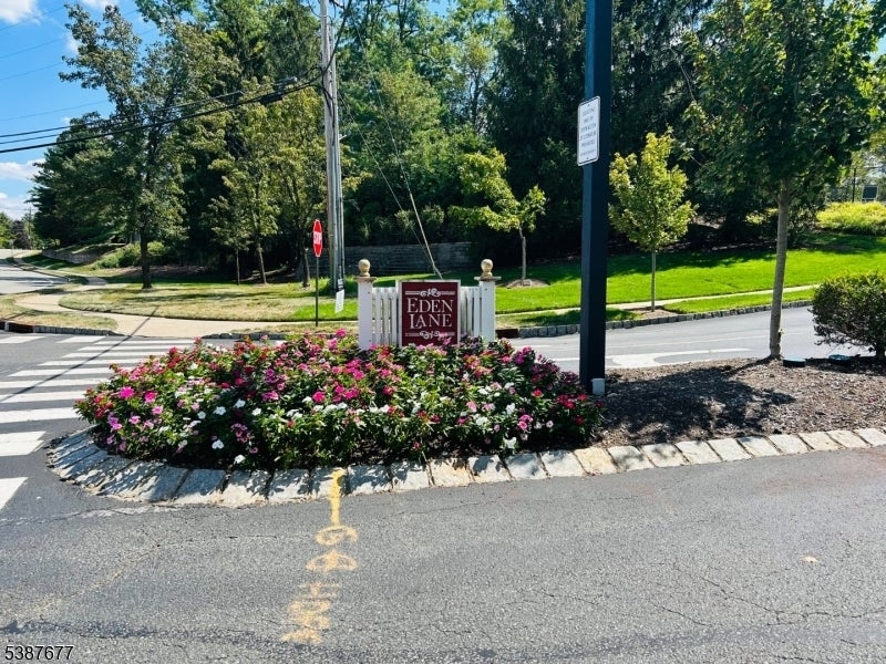 Photo of Listing #3989474