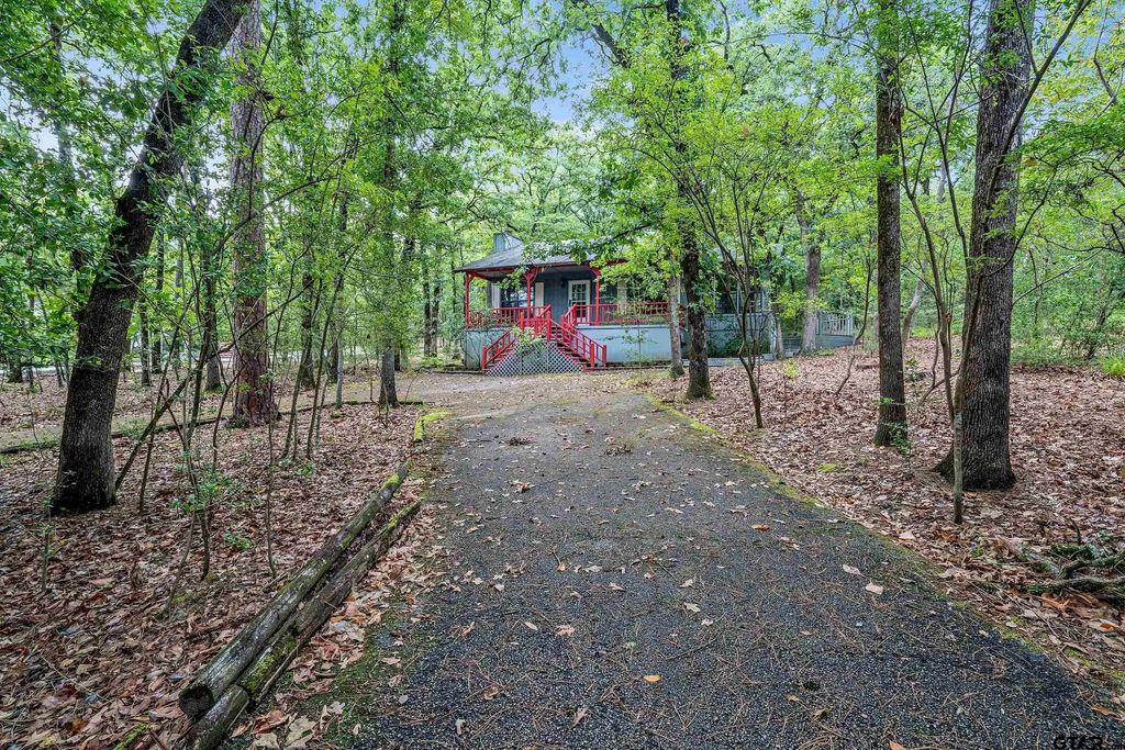 224 Blue Bird Ln, Holly Lake Ranch