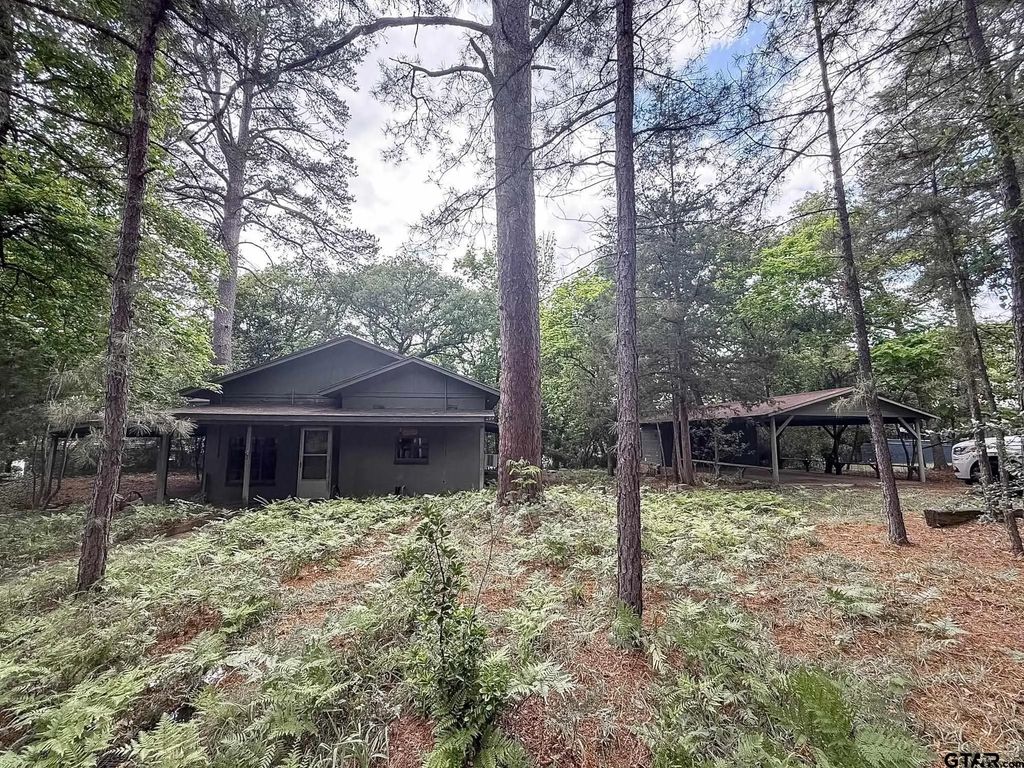 1036 Lake Franklin Dr, Winnsboro