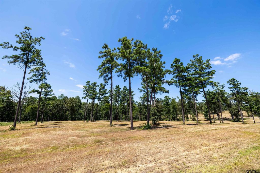 15756 Aniston Ln - (lot 23), Flint