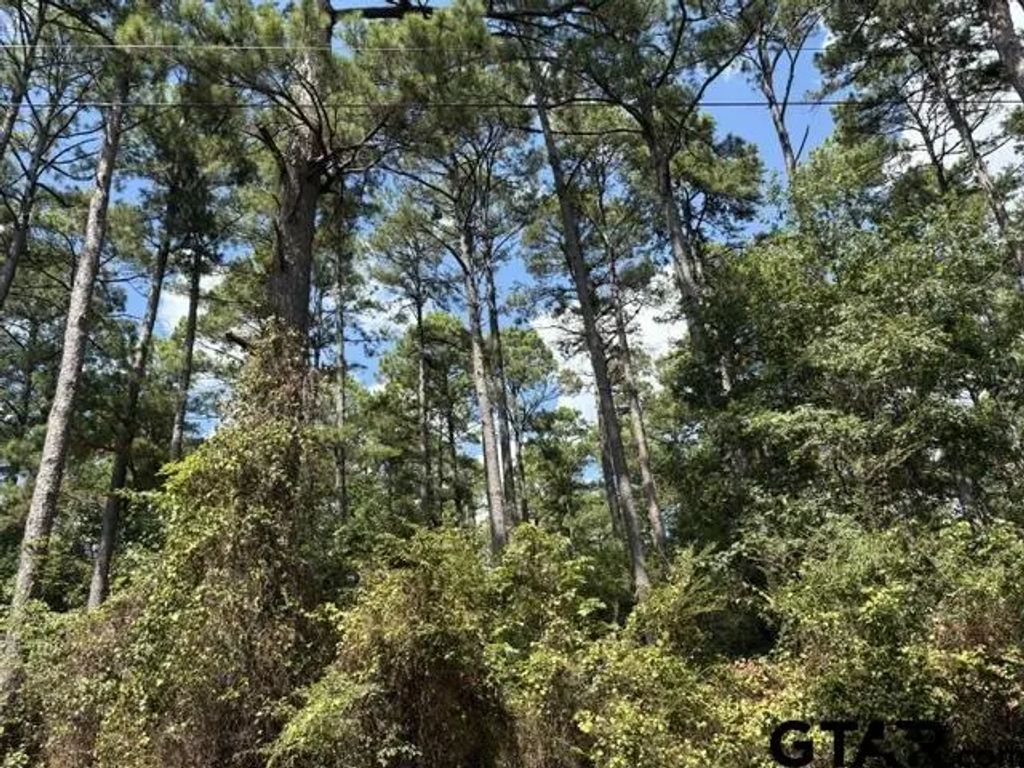 19317 N. State Highway 110, Troup